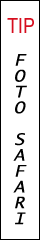 Foto Safari